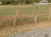 Satılır 24 sot torpaq Qəbələ