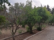 İcarəyə verilir 4 otaqlı 150 m2 bağ evi Novxanı