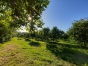 Satılır 2 otaqlı 1300 m2 həyət evi Ağdaş