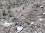 Satılır 6 sot torpaq Masazır