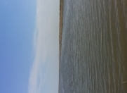 Satılır 1000 sot torpaq Hacıqabul