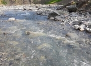 Satılır 9 sot torpaq İsmayıllı