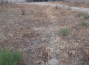 Satılır 6 sot torpaq Masazır