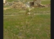 Satılır 8 sot torpaq Qobu