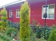 İcarəyə verilir 4 otaqlı 120 m2 həyət evi Qax