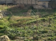 Satılır 6 sot torpaq Heydər Məscidi