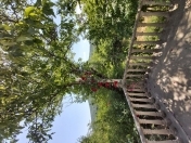 İcarəyə verilir 4 otaqlı 200 m2 bağ evi Quba