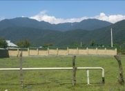 Satılır 6 sot torpaq Qəbələ