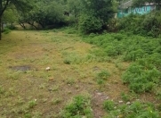 Satılır 8 sot torpaq Qəbələ