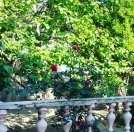 Satılır 5 otaqlı 5000 m2 həyət evi Mehdiabad