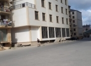 Satılır 11 otaqlı 1341 m2 obyekt Xırdalan