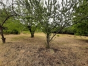 Satılır 3 otaqlı 100 m2 həyət evi İsmayıllı