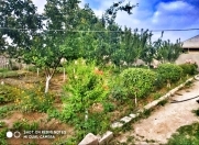 Satılır 3 sot torpaq Binə