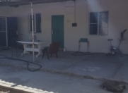 Satılır 3 otaqlı 80 m2 həyət evi 8 km