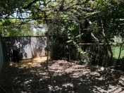 Satılır 3 otaqlı 60 m2 həyət evi Masallı