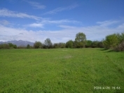 Satılır 25 sot torpaq Qəbələ