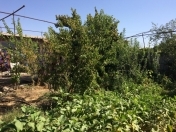 Satılır 6 sot torpaq Naxçıvan