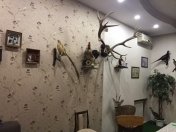 İcarəyə verilir 7 otaqlı 350 m2 yeni tikili Şah İsmayıl Xətai m.