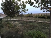 Satılır 33 sot torpaq Mərdəkan