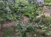 Satılır 7 sot torpaq Xırdalan