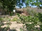 Satılır 2 sot torpaq Bilgəh