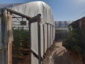 Satılır 2 otaqlı 23.9 m2 bağ evi Maştağa