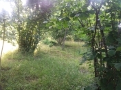 Satılır 7 sot torpaq Qəbələ