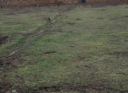 Satılır 14 sot torpaq Maştağa