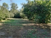 Satılır 90 sot torpaq Qəbələ