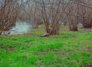 Satılır 6 otaqlı 500 m2 həyət evi Xaçmaz