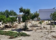 Satılır 4 otaqlı 500 m2 bağ evi Abşeron r.