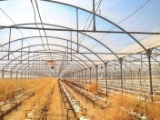 Satılır 1 otaqlı 5100 m2 obyekt Zirə