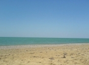 Satılır 400 sot torpaq Türkan