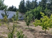 Satılır 10 sot torpaq Novxanı