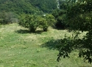 Satılır 30 sot torpaq İsmayıllı