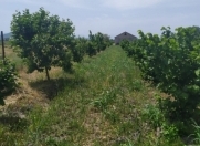 Satılır 150 sot torpaq Şabran