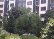 Satılır 2 otaqlı 40 m2 köhnə tikili 6 mkr