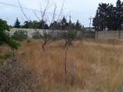 Satılır 5 sot torpaq Bilgəh