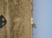 Satılır 92000 sot torpaq Xaçmaz