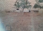 Satılır 6 sot torpaq Sumqayıt