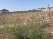 Satılır 14 sot torpaq Türkan