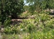 Satılır 11 sot torpaq Bilgəh