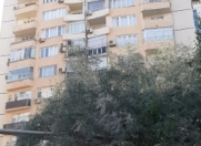 Satılır 3 otaqlı 122 m2 yeni tikili 8 mkr