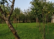 Satılır 12 sot torpaq Qax