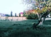 Satılır 25 sot torpaq Ləhic Bağları