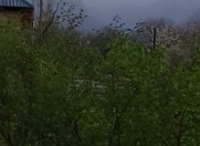 Satılır 20 sot torpaq Qəbələ