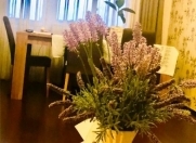 Satılır 3 otaqlı 96 m2 yeni tikili Həzi Aslanov