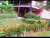 Satılır 6 sot torpaq Qəbələ