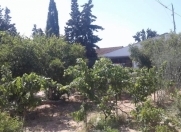 Satılır 12 sot torpaq Mərdəkan