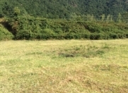 Satılır 10 sot torpaq Qəbələ